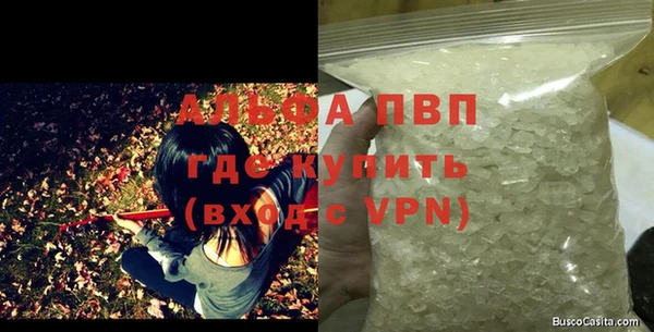 apvp Алзамай