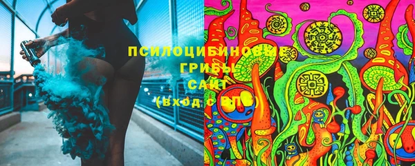 2c-b Алексин