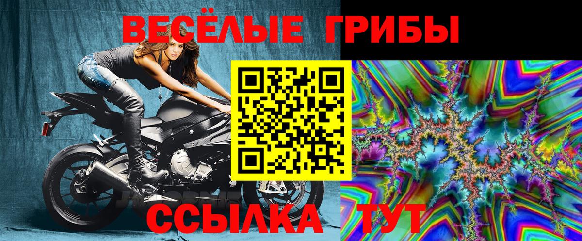 Протвино  Галлюциногенные грибы Cubensis  Вход с VPN 
