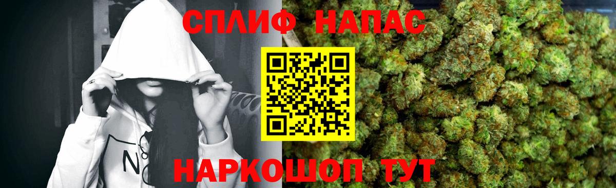 Канабис конопля Протвино